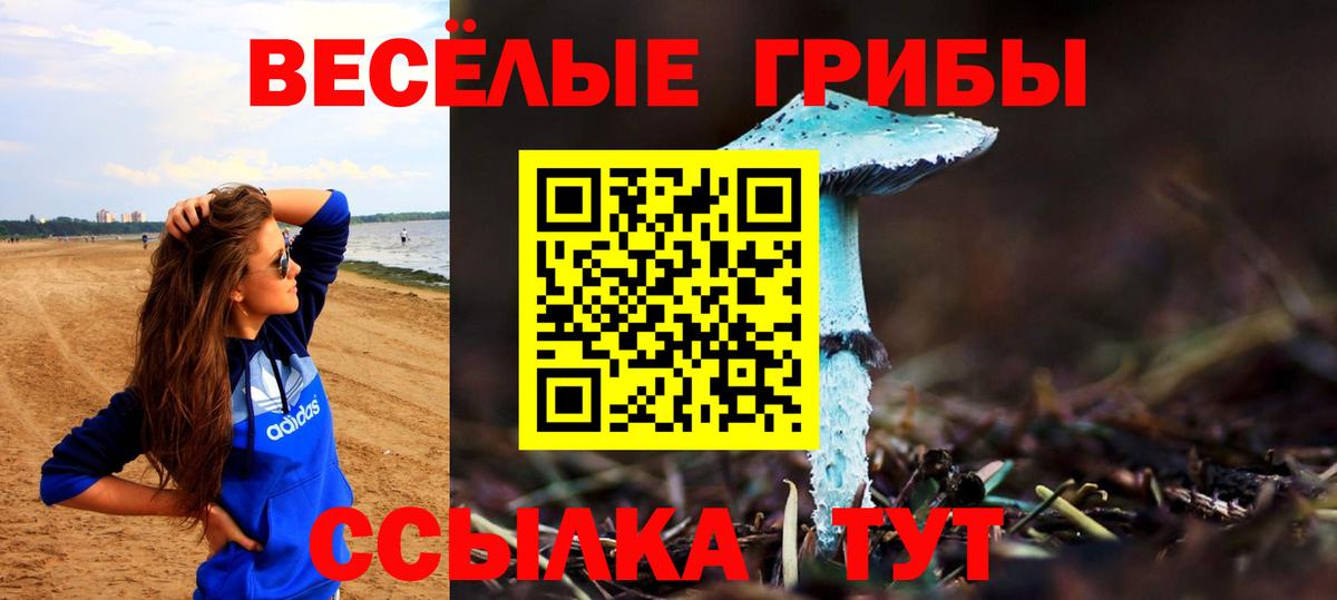 Псилоцибиновые грибы ЛСД  Псилоцибиновые грибы мухоморы  Зеленодольск  сколько стоит  Вход с VPN 